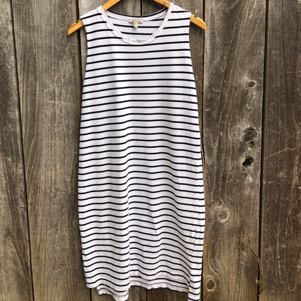 Zara | Stripe | Dress